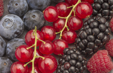 Mix von versciedenen Beeren auf Schieferplatte