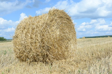 Meadow hay in round bales  