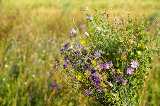 Bouquet of wildflowers over field background
