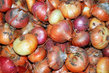 Fresh onion background