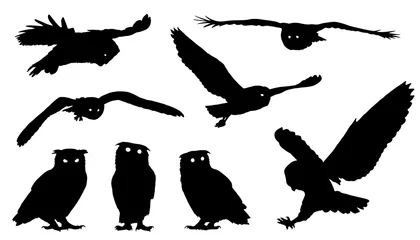 Wall murals Owl Cartoons owl silhouettes