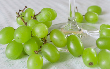 grapes in a glass of wine