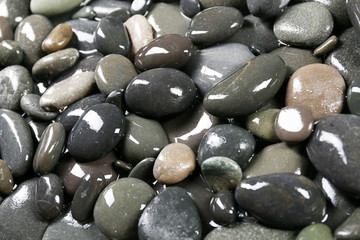 Gray sea pebbles background