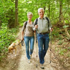 Zwei Senioren wandern mit Hund im Wald - obrazy, fototapety, plakaty