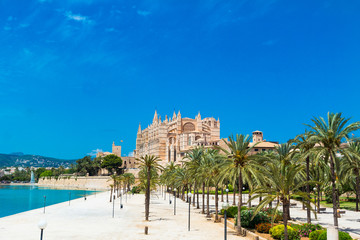 Palma de Mallorca, port marina Majorca Cathedral © engel.ac