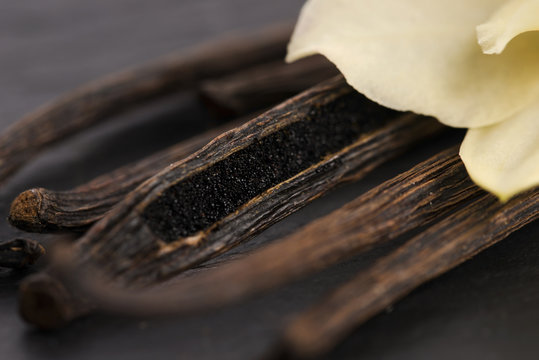 Fototapeta Vanilla pods