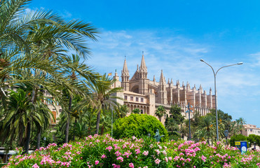 Palma de Mallorca, port marina Majorca Cathedral © engel.ac