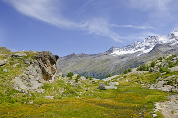 Gran paradiso
