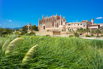Palma de Mallorca, port marina Majorca Cathedral © engel.ac