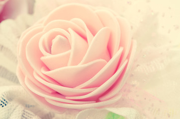 center of Soft Rose