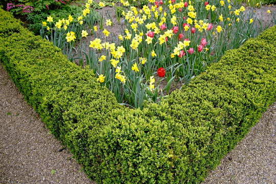 Gartengestaltung