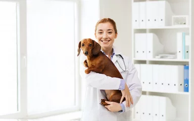Poster happy doctor with dog at vet clinic © Syda Productions