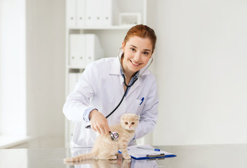 happy veterinarian with kitten at vet clinic