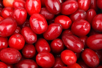 fresh cornel berries