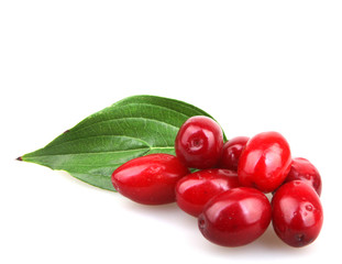 cornels isolated on the white
