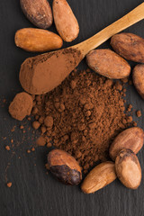cacao beans and cacao powder in spoon