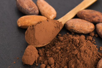 cacao beans and cacao powder in spoon