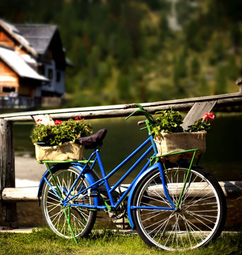 Escursione in Bicicletta