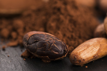 cacao beans and cacao powder in spoon