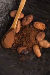 cacao beans and cacao powder in spoon