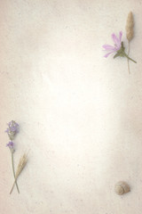 Sweet color, pastel tone, wild flowers with paper texture for the soft background.