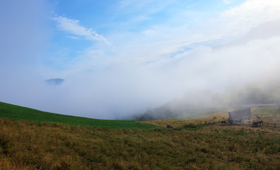 Fototapeta na wymiar early morning mist floating from a valley up over a paddock with horses in the french alps