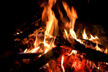 camp fire in dark