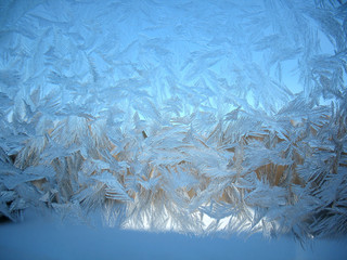 frozen winter window
