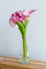 Bunch of pink callas in the vase on black background