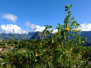 De Hell-Bourg au Trou de Fer en passant par Bellouve © michelgrangier