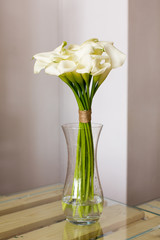 Bunch of callas in the vase on white background
