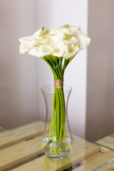 Bunch of callas in the vase on white background
