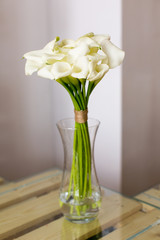 Bunch of callas in the vase on white background