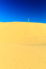 Woman success with arms outstretched when running