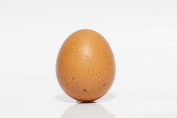 Egg