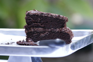 Food: The last piece of chocolate cake on a silver platter with hydrangeas in the background.