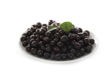 black ashberry isolated