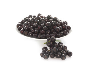 black ashberry isolated