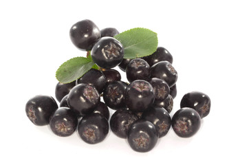 black ashberry isolated
