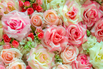 Soft color Roses Background