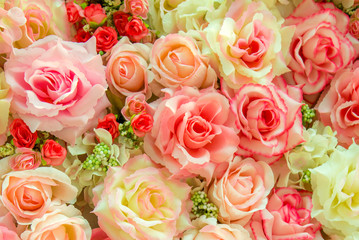 Soft color Roses Background