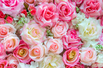 Soft color Roses Background