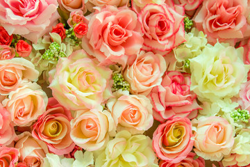 Soft color Roses Background