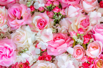 Soft color Roses Background