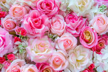 Soft color Roses Background