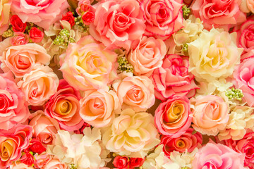 Soft color Roses Background