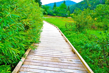 SENTIER  LAC LAMOURA JURA