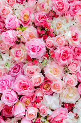 Obraz na płótnie Canvas Soft color Roses Background