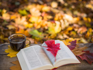 Naklejka na ściany i meble Hot coffee and book with autumn leaves on wood background - seasonal relax concept 