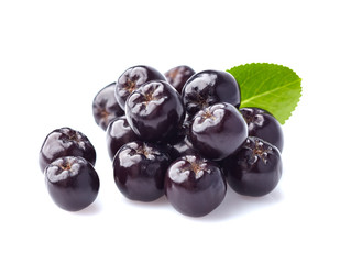 Chokeberry